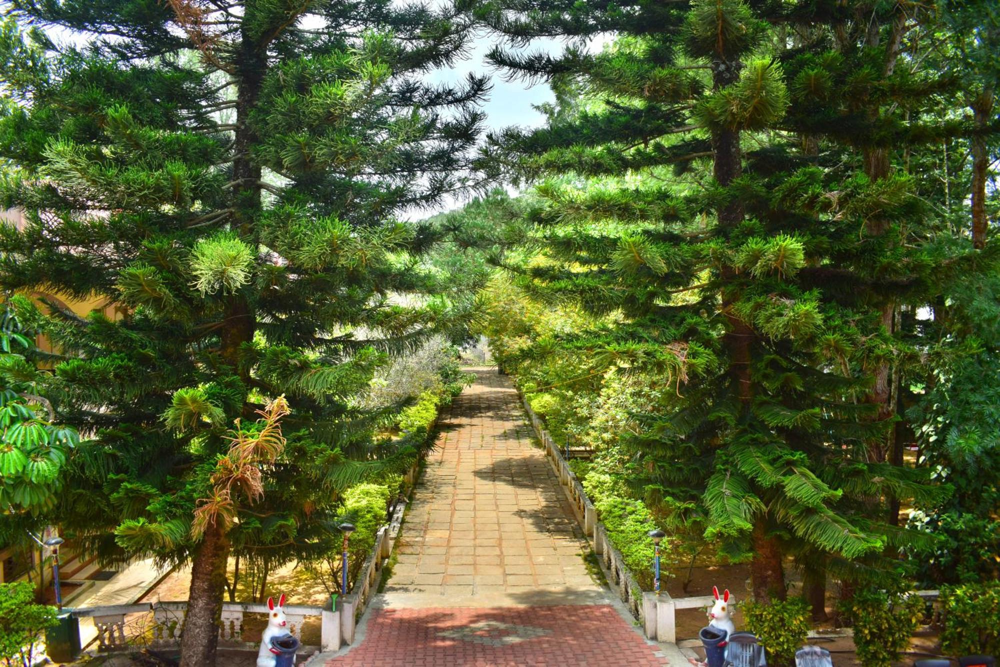 Jains Royal Palace Resorts Єлагірі Екстер'єр фото